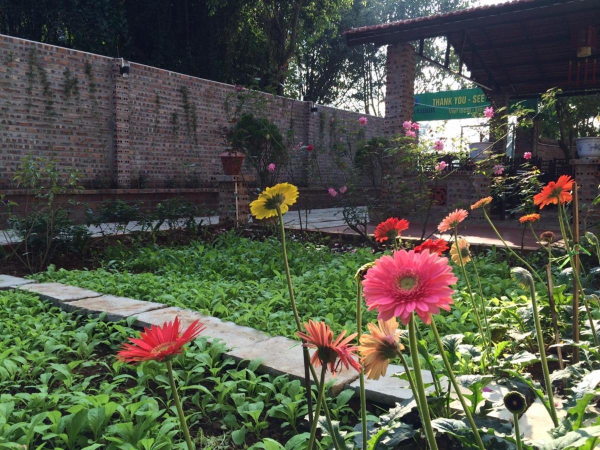 Tam Coc Craft Homestay Ninh Binh Pokoj fotografie